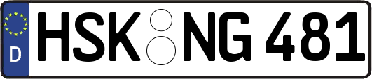 HSK-NG481