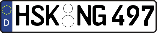 HSK-NG497