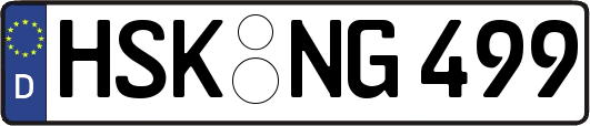 HSK-NG499