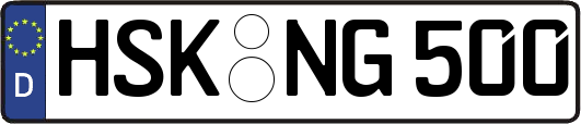 HSK-NG500