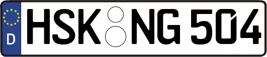 HSK-NG504