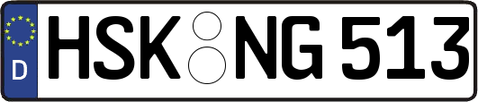HSK-NG513