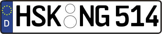 HSK-NG514