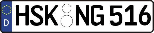 HSK-NG516