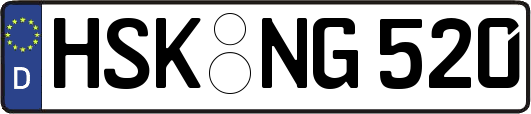 HSK-NG520
