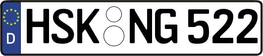 HSK-NG522
