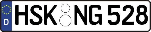 HSK-NG528