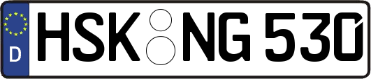 HSK-NG530
