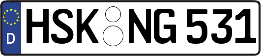 HSK-NG531