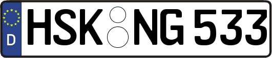 HSK-NG533