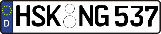 HSK-NG537