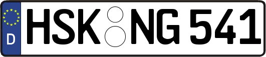 HSK-NG541