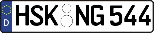 HSK-NG544