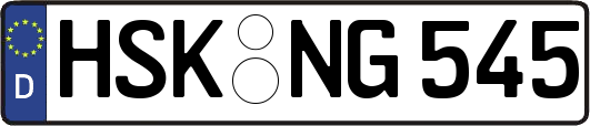 HSK-NG545