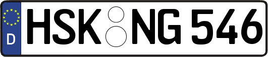 HSK-NG546