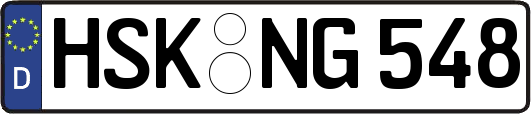 HSK-NG548