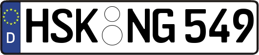 HSK-NG549