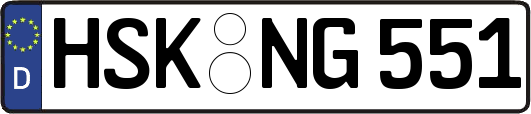 HSK-NG551