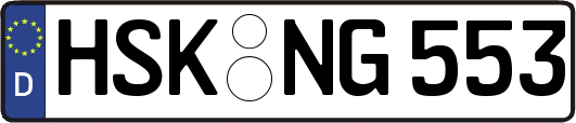 HSK-NG553