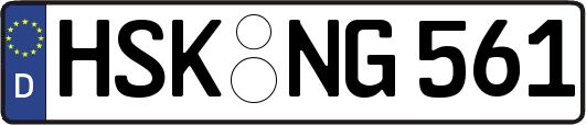 HSK-NG561