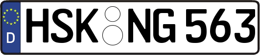 HSK-NG563