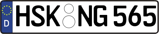 HSK-NG565