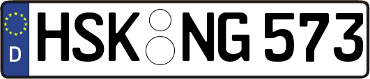 HSK-NG573