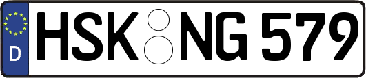 HSK-NG579
