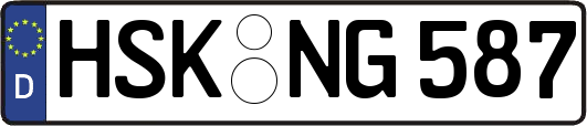 HSK-NG587