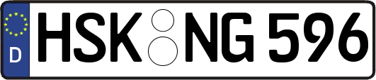 HSK-NG596
