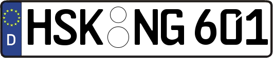 HSK-NG601