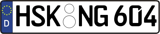 HSK-NG604