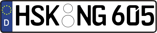 HSK-NG605