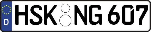 HSK-NG607