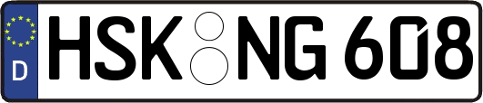 HSK-NG608