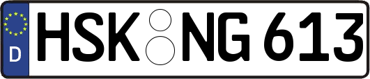 HSK-NG613
