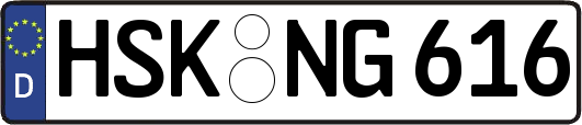 HSK-NG616