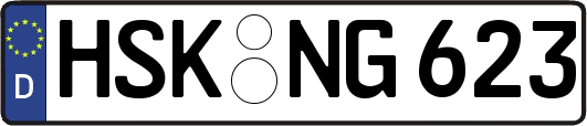 HSK-NG623
