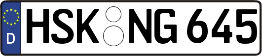 HSK-NG645