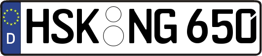 HSK-NG650