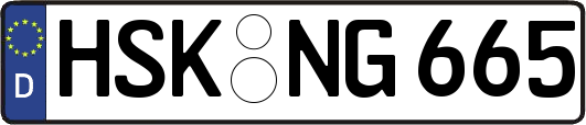 HSK-NG665
