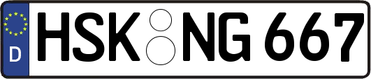 HSK-NG667