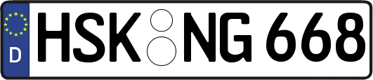 HSK-NG668