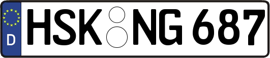 HSK-NG687