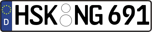 HSK-NG691