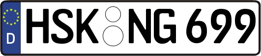 HSK-NG699