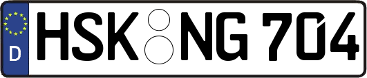 HSK-NG704
