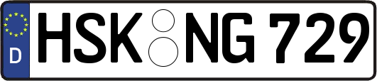 HSK-NG729