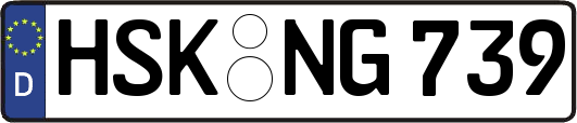 HSK-NG739