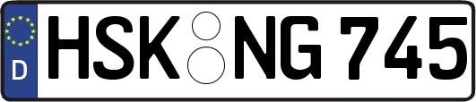 HSK-NG745